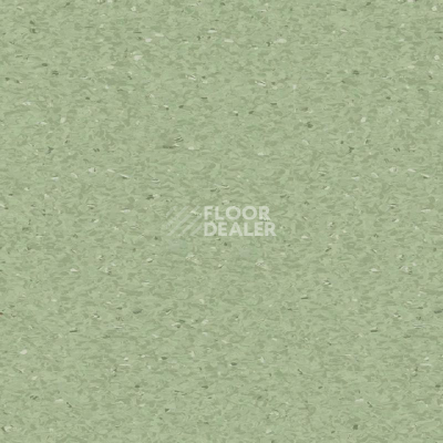 Линолеум Tarkett iq Granit Acoustic MEDIUM GREEN фото 1 | FLOORDEALER